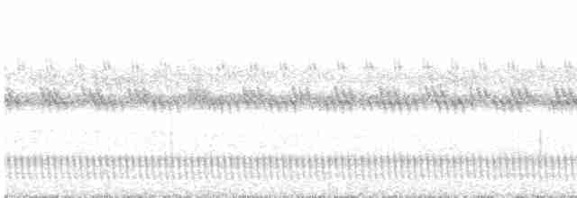Long-tailed Nightjar - ML504524941