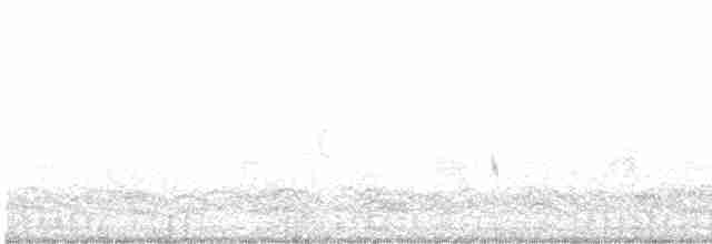 Pin-tailed Sandgrouse - ML504780541