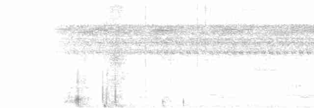 Кущівник-чубань перуанський - ML504801561