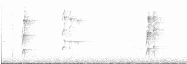 Тиранчик-довгохвіст жовточеревий - ML504834241