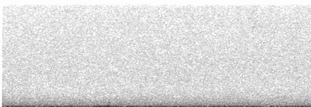Тиранчик-довгохвіст жовточеревий - ML504834251