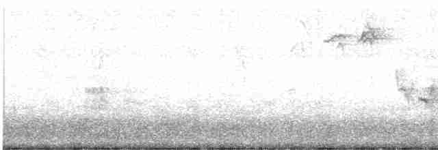 Gray Wagtail - ML504860261