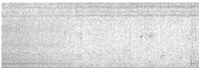 Сероголовая пиайя - ML504881601