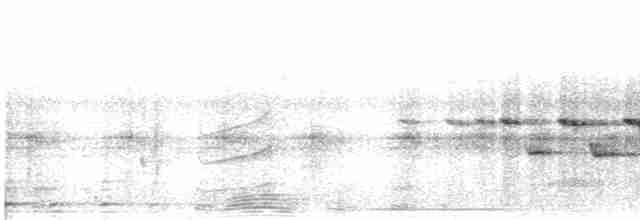 Flavescent Warbler - ML504969641