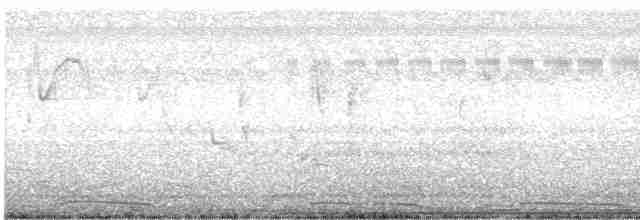 hrdlička kropenatá - ML505060751
