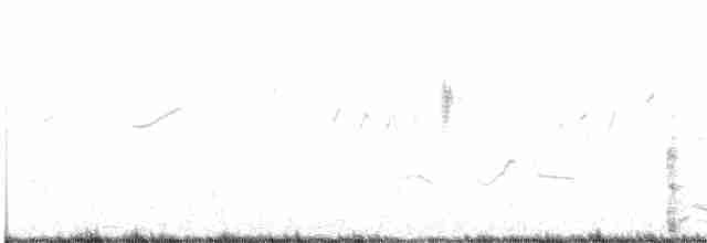 White-tailed Iora - ML505092761