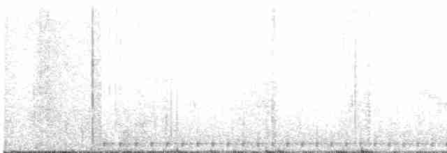 Дятел-куцохвіст чорночубий - ML505124641