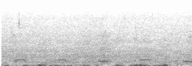 Серогрудый зобатый бегунок - ML505126331