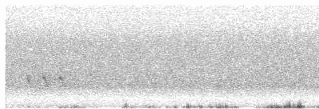 Патагонский пересмешник - ML505154601
