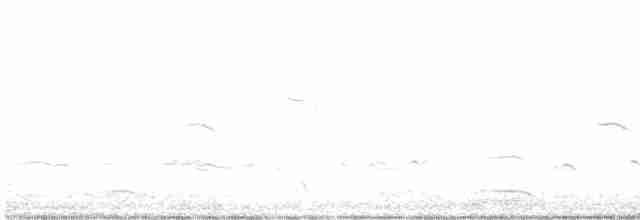 gransanger (tristis) (sibirgransanger) - ML505177091