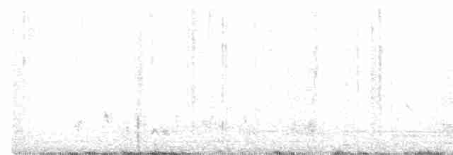 Long-tailed Shrike - ML505192221