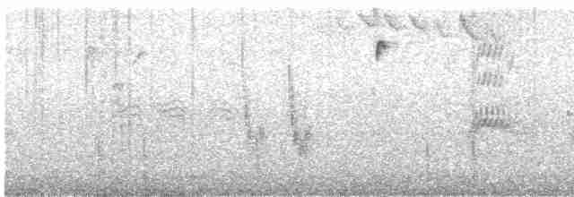 Evening Grosbeak (type 3) - ML505202181