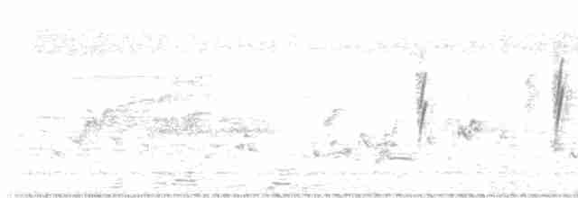 Rotkappenschwalbe - ML505280141