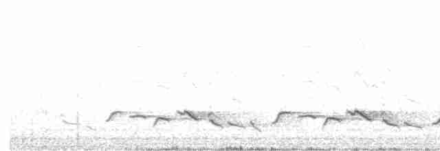 Cossyphe des grottes - ML505281791