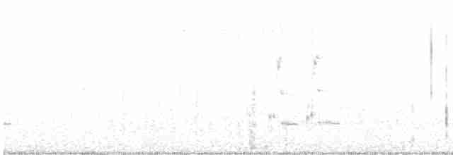 Loggerhead Shrike - ML505333551