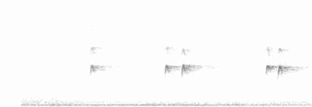 Каролинский крапивник - ML505548461