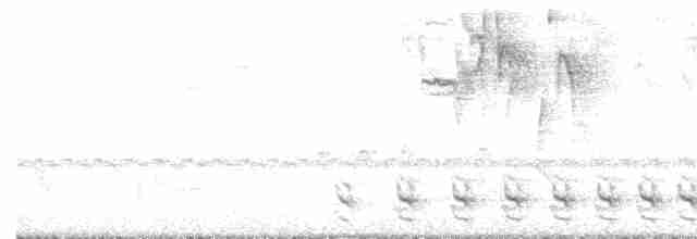 Bar-crested Antshrike - ML505692631