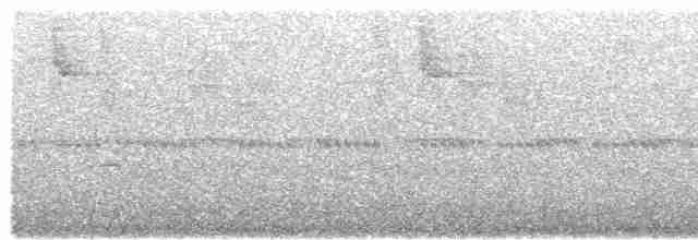 Пестрогрудый тираннчик - ML505693741