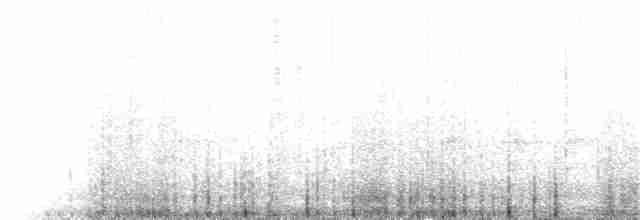křivka bělokřídlá - ML50572221
