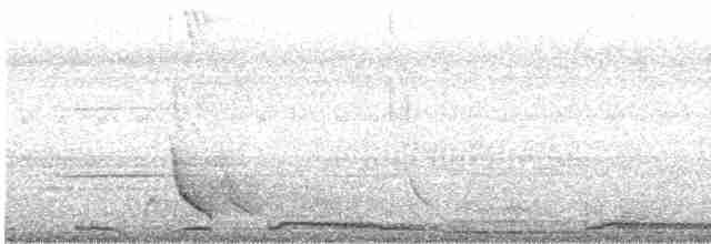 hrdlička kropenatá - ML505820021