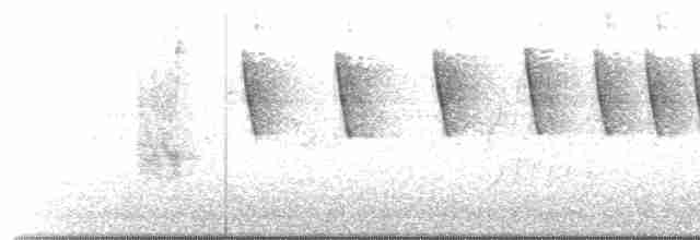 Краснохвостая нектарница - ML505839861