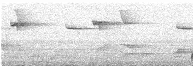 Белобрюхая китта - ML505869611