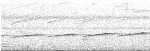 Мурав’янка-куцохвіст велика - ML505884511
