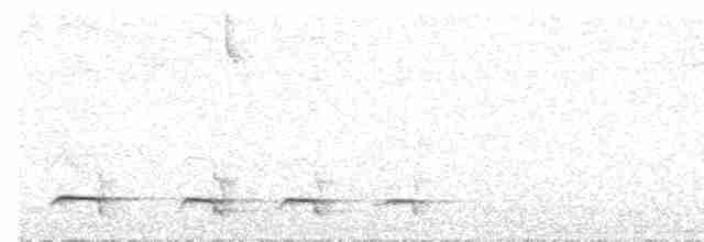 Weißflecken-Ameisenpitta - ML506014751