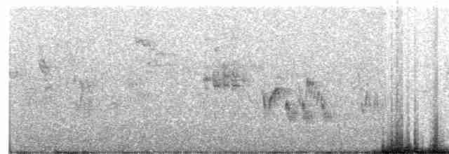 Kara Başlı Vireo - ML506109071