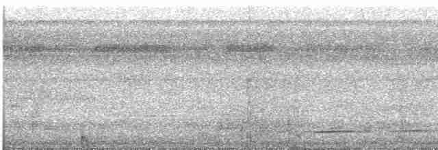 ハジロミドリツバメ - ML506251161