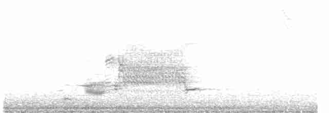 vlhovec červenokřídlý - ML506281161