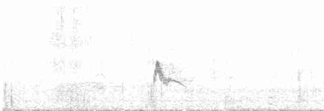 White-crested Elaenia - ML506286491