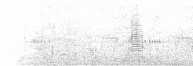Common Gallinule - ML50629921
