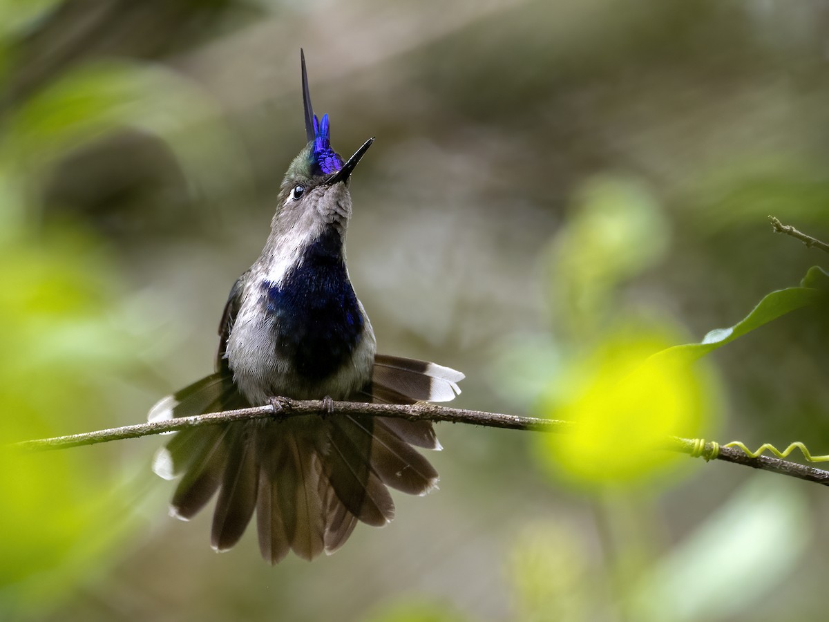 Animação Gif De Ficção Científica Com Anéis De Neon No Espaço Foto E Imagem  Para Download Gratuito - Pngtree, image size:1200x900