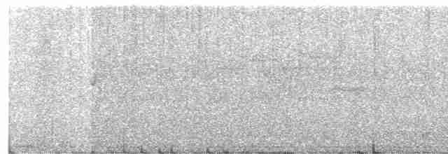 Дрізд-короткодзьоб плямистоволий - ML506382781
