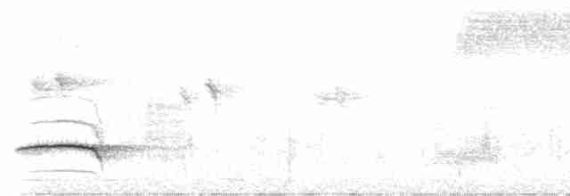 Чагарниця плямистоплеча - ML506460021