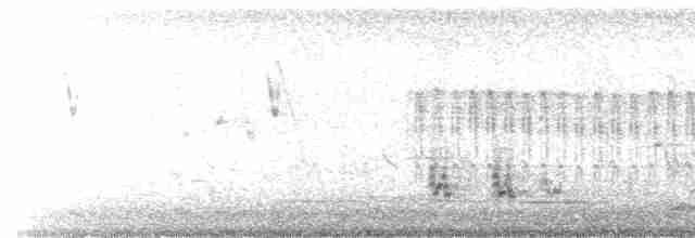 Зондский острокрылый дятел - ML506485051