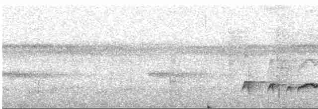 Сероголовая пиприта - ML506529161