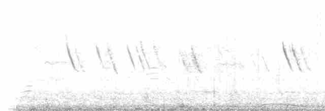 Çıplak Gözlü Yer Kumrusu - ML506652131