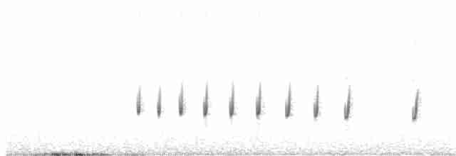 Гохо світлочеревий (підвид micropterus) - ML506652861