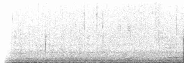 Андская лысуха - ML506676401