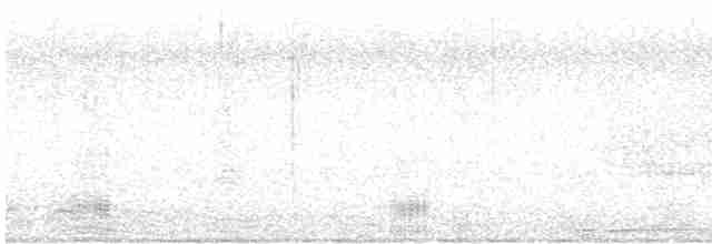 Common Merganser (North American) - ML506695011