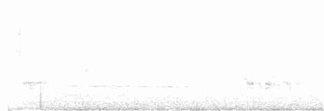 Короткокрылая камышевка - ML50670781