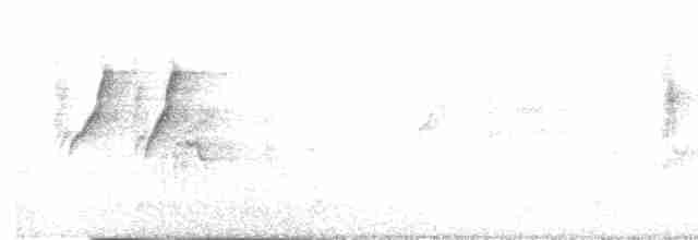 Атласная нектарница - ML506728971