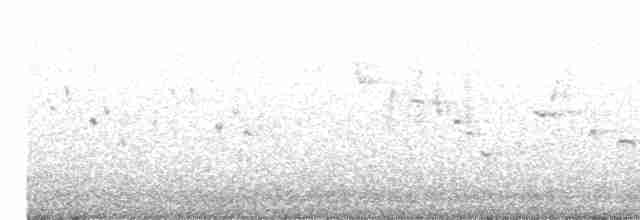Шиподзьоб жовтогузий - ML506760011