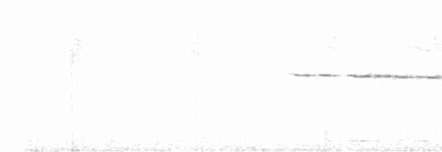 Broad-billed Warbler - ML506771321