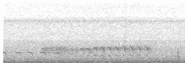 Black-crested Antshrike - ML506943941
