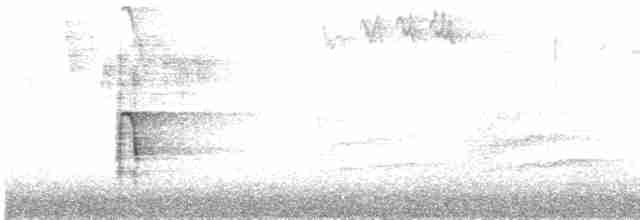 strakapoud americký [skupina harrisi] - ML506979731