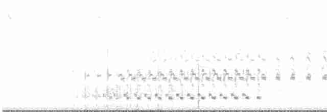 holub chocholatý - ML506982811