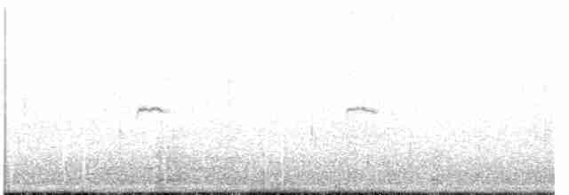 gransanger (tristis) (sibirgransanger) - ML507058691